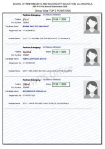 All Punjab Board Postion Holders Result 2025